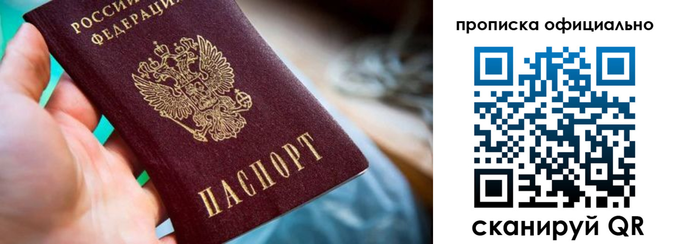 прописка поиск в Бородино